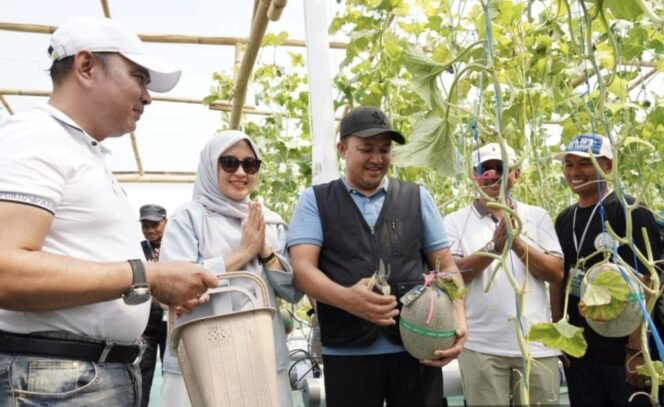 
					Bupati Pasuruan Dorong Petani Kelola Greenhouse Melon Secara Profesional
